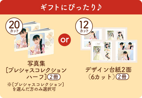 写真集プレシャスコレクションハーフ2冊orスクエア台紙2冊6カット