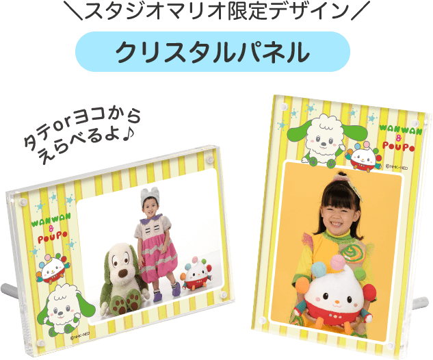 スタジオマリオ限定デザインクリスタルパネル