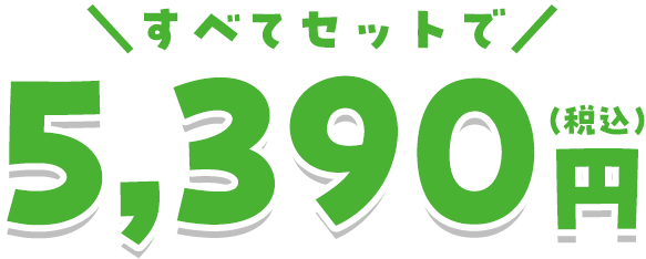 すべてセットで税込5,390円