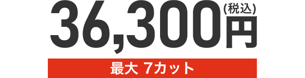 最大7カット税込36,300円
