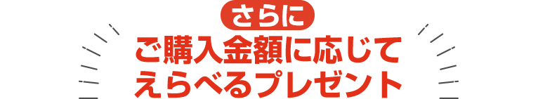 さらにご購入金額に応じてえらべるプレゼント
