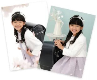 ドリームコレクション（16カット）