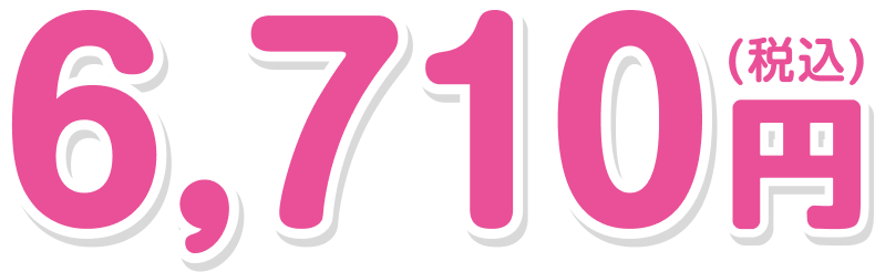 6,710円(税込)