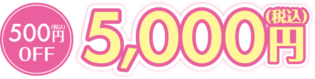500円OFF税込5,000円