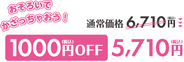 通常価格6,710円が1000円OFF5,710円(税込)