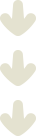 icondown