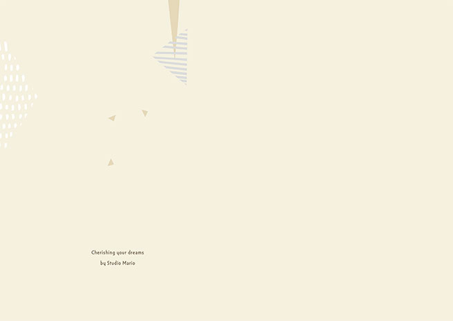 ドリームコレクションチョコレート16